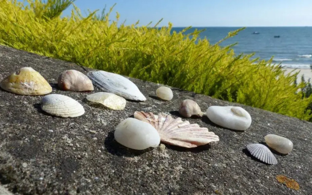 Domaine de la Pointe de Kerhostin