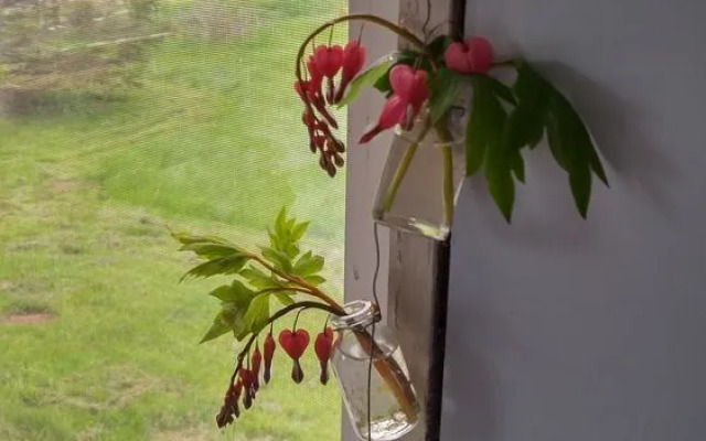 Windsbreath Celebrations and Retreats