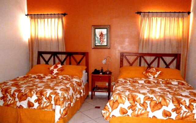 THE Green Frog Inn Bed and Breakfast
