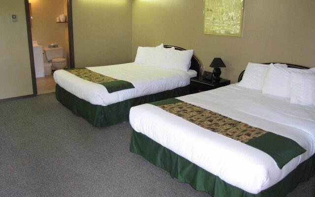 Bear Country Inn and Suites