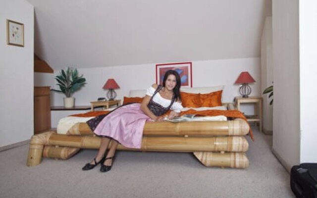 Business & Holiday Hotel Steiner