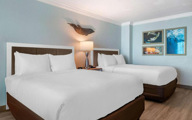 Winter the Dolphins Beach Club, Ascend Hotel Collection