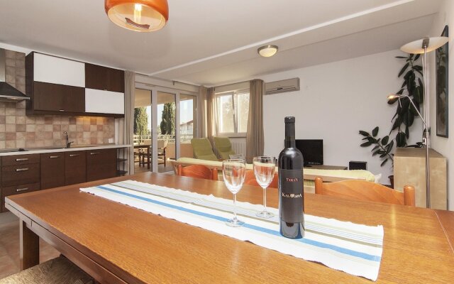 Apartments Levan Ceja