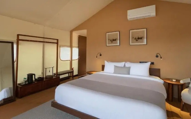 Zen By Stellar Cameron