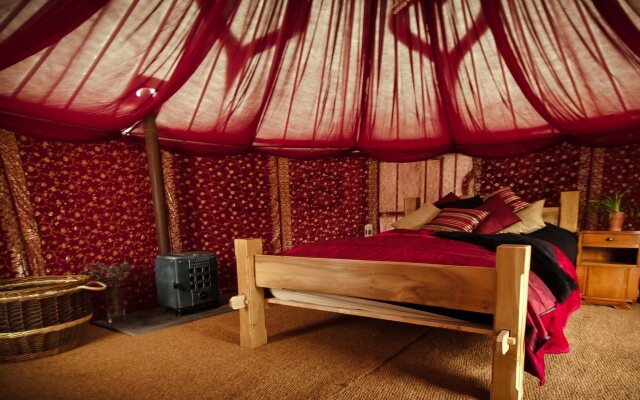 Plush Tents Glamping