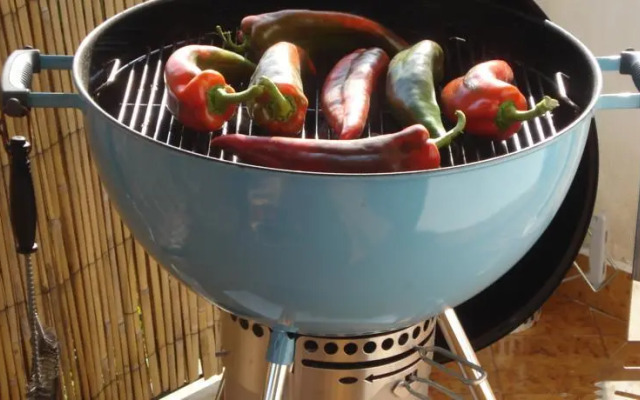 Holiday home Villa Silvia