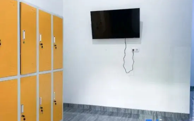 MomoInn Sea Lion Fish