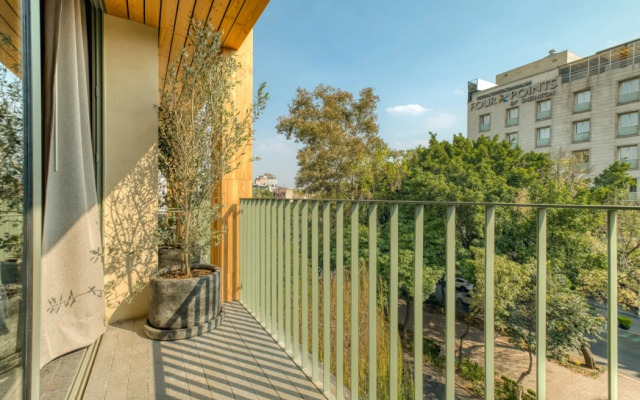 ONTO Alvaro Obregon Mexico City