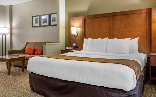 Comfort Suites Raleigh Walnut Creek