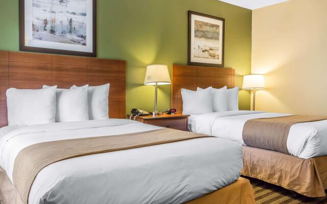 Quality Inn Flamingo