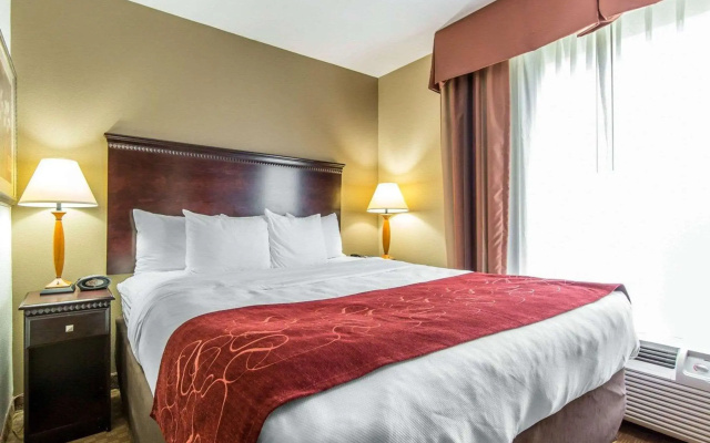 Comfort Suites Knoxville North