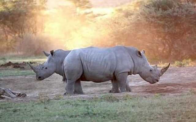 Khama Rhino Sanctuary