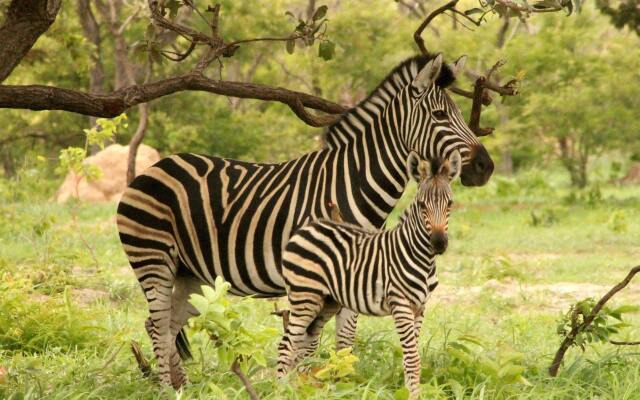 Fathala Wildlife Reserve