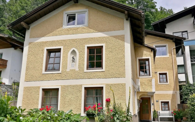 Ferienhaus Dr Steiner Zell am See