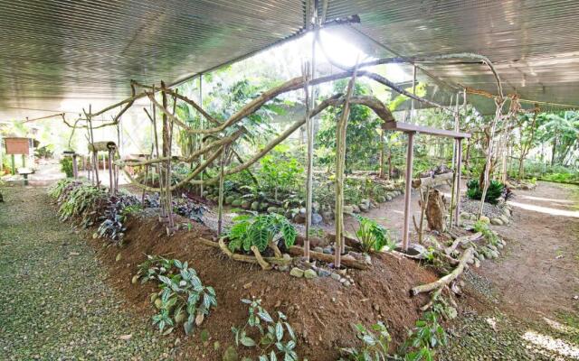 Hostel Islas del Río