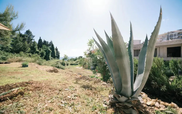 The Rooftop Apartment with Sea view