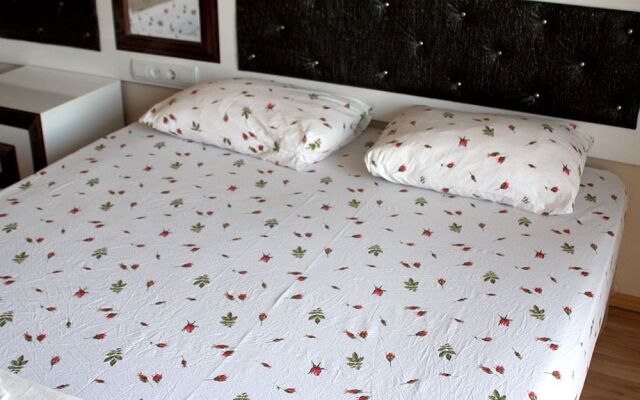 Ozdemir Thermal Hotel