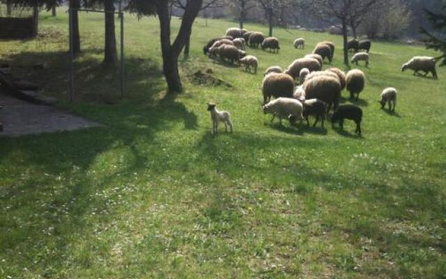 Lika Dream - Obradovic