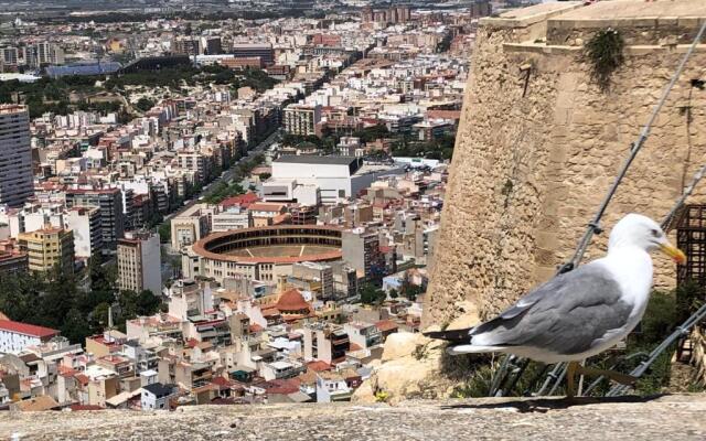 Calle San Carlos 132