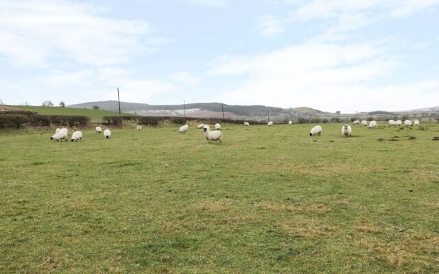 Shepherds Cottage