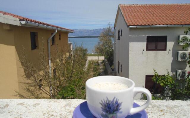 Apartment Selman