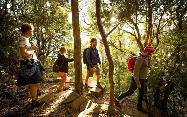 Mt Warning Rainforest Park