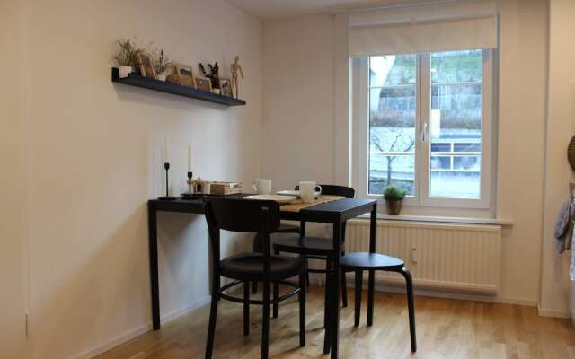 Completely Renovated Apartment Near the Train Station and the Center