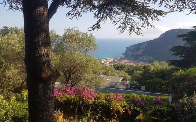 La Camera Tra Gli Ulivi Dream Finale