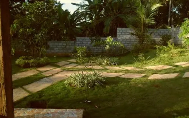 Dream House