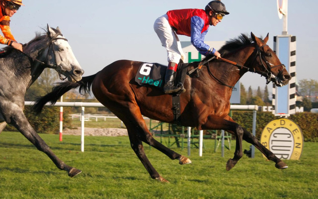 Stilvolle FeWo *Rebland* Balkon-Netflix-Parking