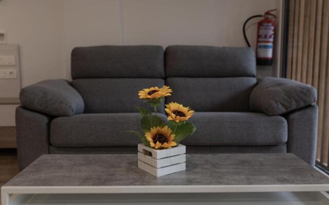 Loft en Zarauz con parking Hator 1