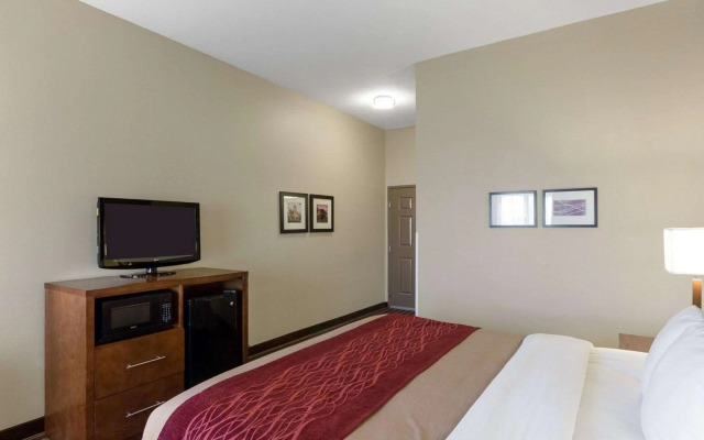 Comfort Inn & Suites Fayetteville - University Area