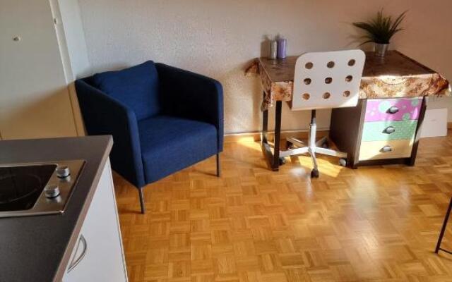 Momo's appartement - in center of fribourg!