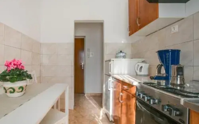 Apartment Petra Pekica