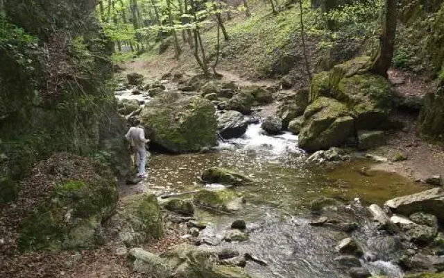 Bakonyi Margaréta Vendégház