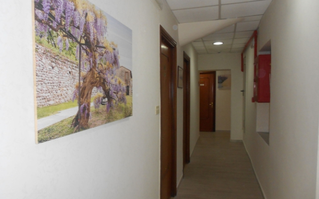 Apartamentos Carolina