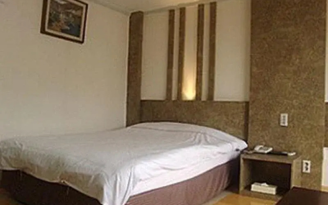 格雷斯旅游酒店(Grace Tourist Hotel)