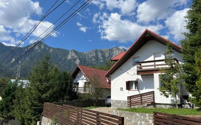 Rustic House Busteni