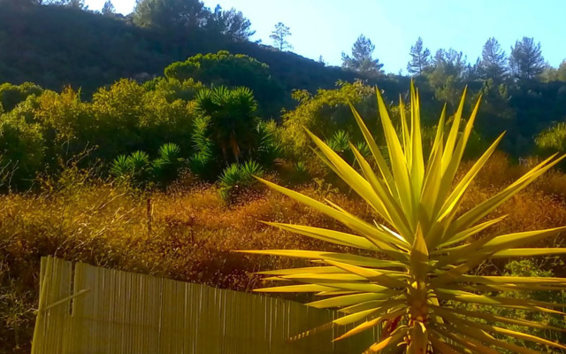 Oceanview Duplex shared Pool & Beach Sesimbra