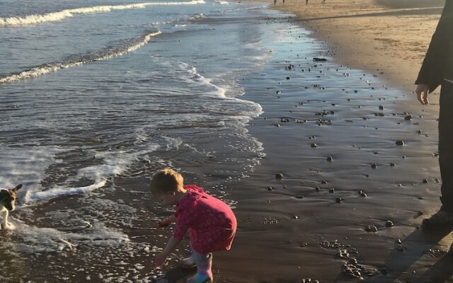 City Apartment With Rural Charm