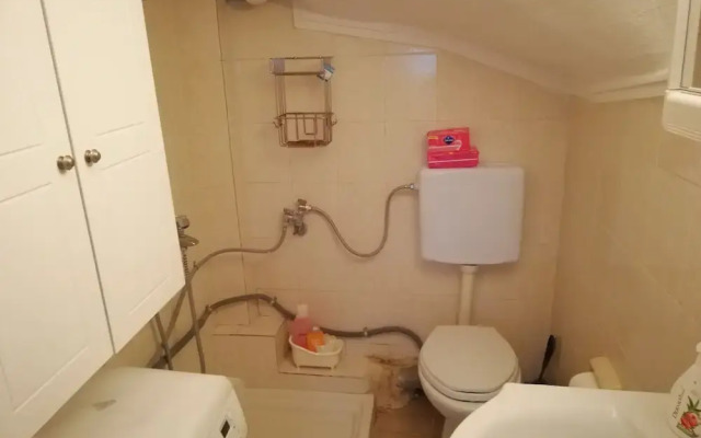 Zoe's Ideal Summer House