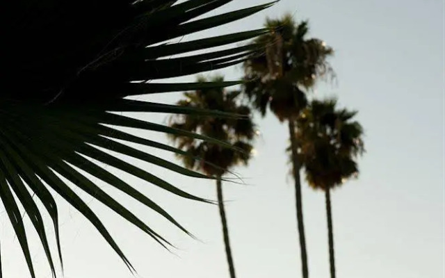 San Jose Airport Inn