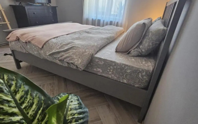 ZIG ZAG apartment 4- Old Town