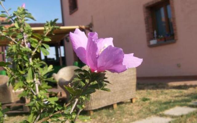 Agriturismo La Nocciolina