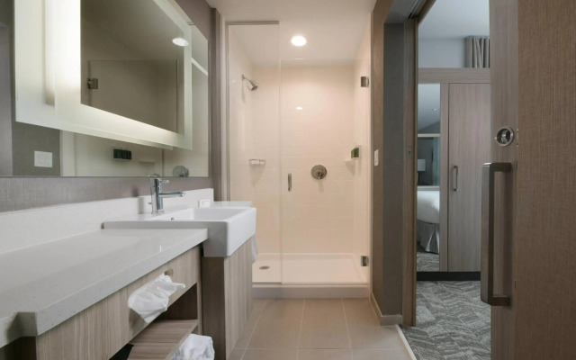 SpringHill Suites by Marriott Texas City