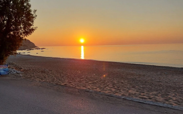 ammos stegna studios