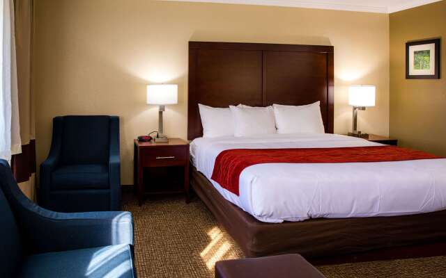 Comfort Inn Hoffman Estates - Schaumburg