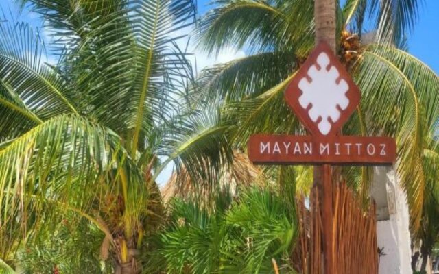 Mayan Mittoz