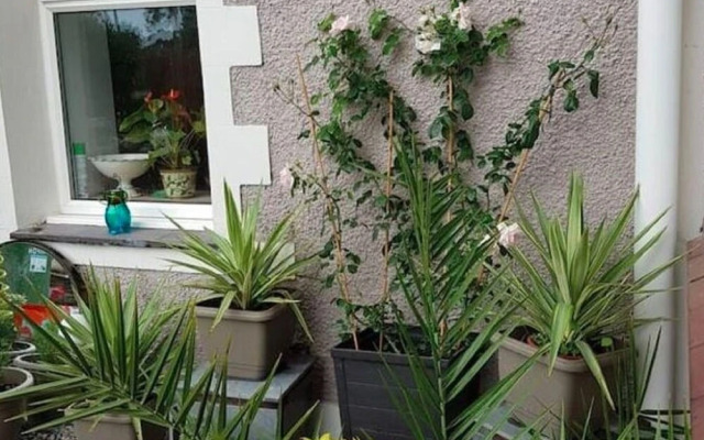 Comfortable Holiday Home in Snowdonia With Garden