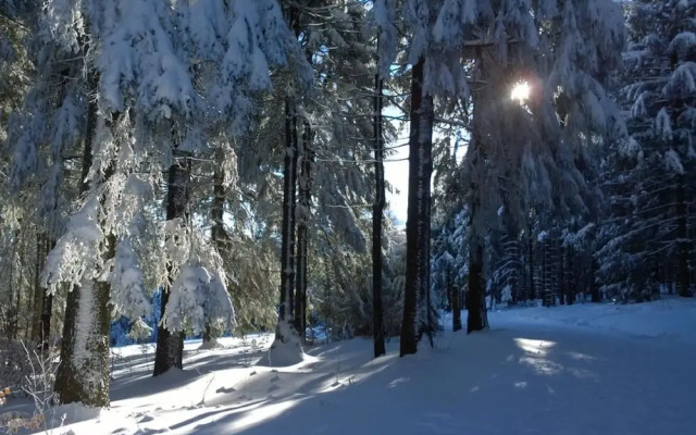 Ferienwohnung An den Kurwiesen